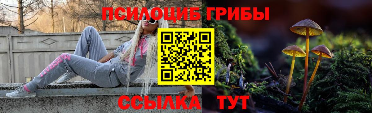 Выкса  Псилоцибиновые грибы Magic Shrooms  Псилоцибиновые грибы Magic Shrooms  Вход с VPN 